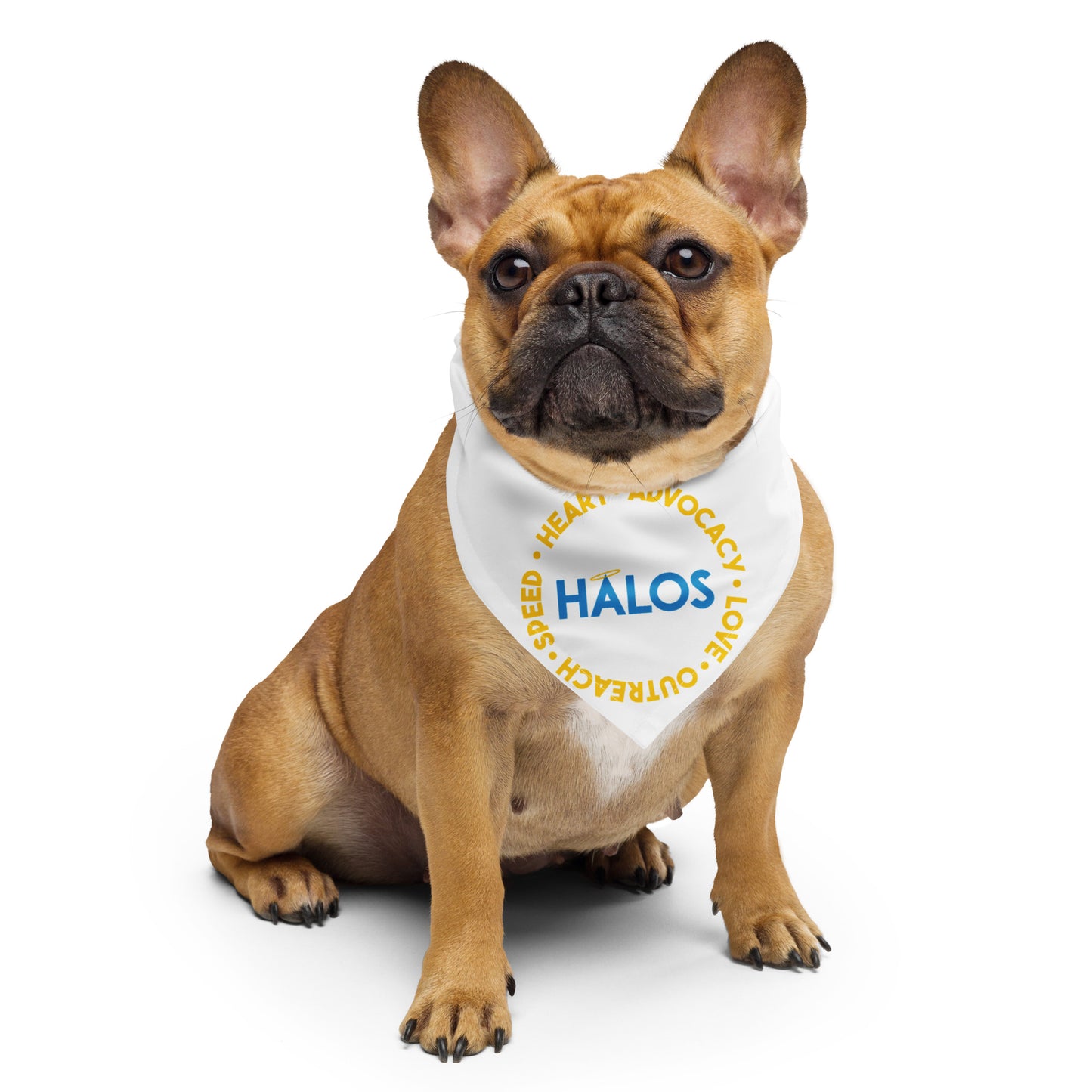 HALOS Pet Bandana